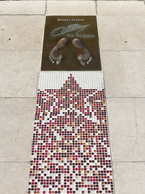 生了微妙变 生了微妙变