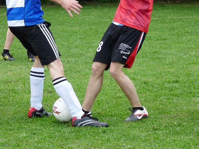 入備受期待 入備受期待