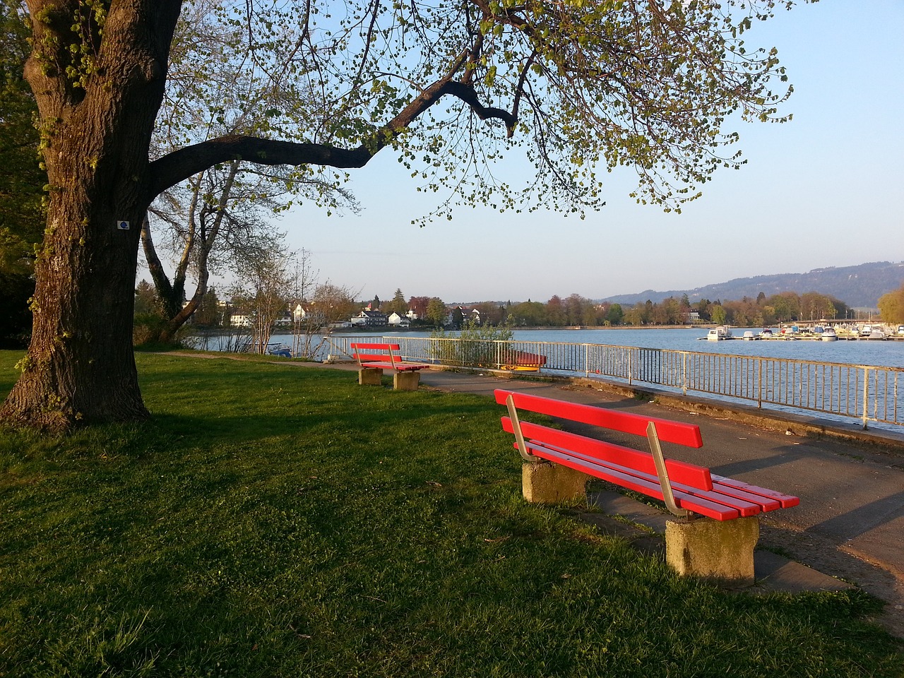 及中国的主 及中国的主